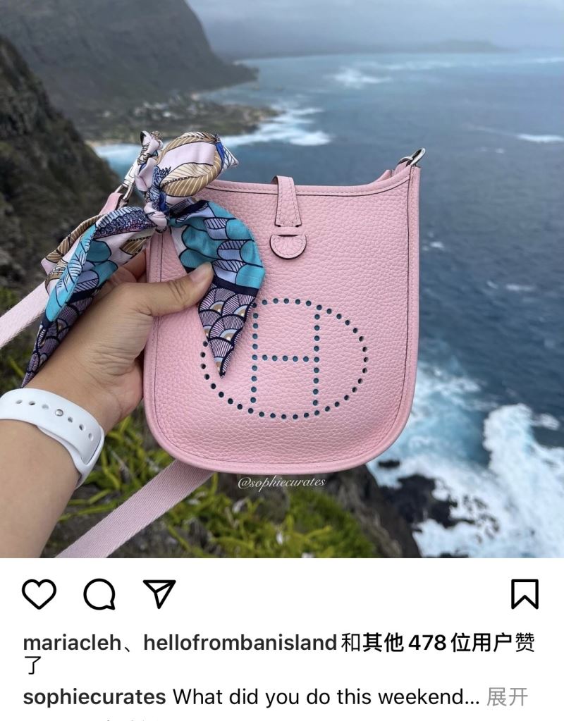 Hermes Evelyn Bags